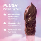 Mocha Plum - Ready Routine
