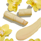 Vanilla - Clean Bundle